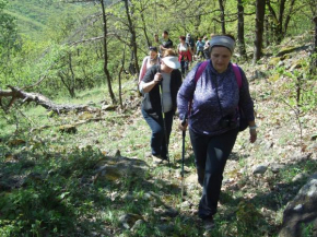 Гостиница Hollókői Vendégház  Абауйсанто